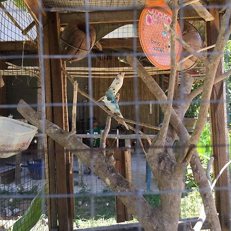 Klong Khong Garden Hotel Koh Lanta Bagian luar foto