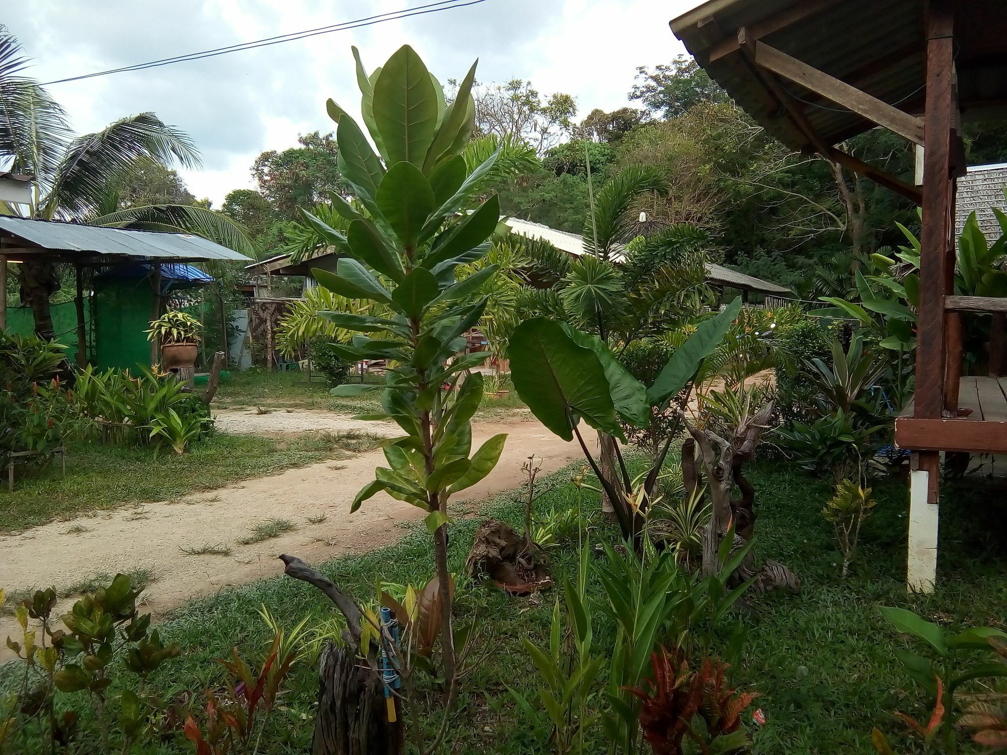 Klong Khong Garden Hotel Koh Lanta Bagian luar foto